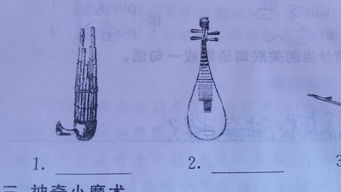 下面是四种民族乐器,你知道,它们的名字吗 四年级